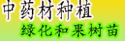 黃精、辣木、重樓等中藥材的種子培育