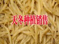 昆明天冬批發(fā)市場(chǎng)報(bào)價(jià)(種植戶)#2017天門冬銷售價(jià)格在多少