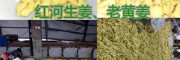 紅河優(yōu)質(zhì)中藥用干姜片批發(fā)價(jià)格，干姜片圖