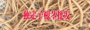 金鐵鎖根莖價(jià)格#哪里有獨(dú)定子成品銷售