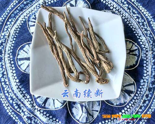 云南續(xù)斷