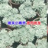 買(mǎi)多肉植物去哪個(gè)網(wǎng)站?_多肉植物需要注意的地方?