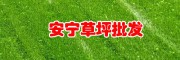 草皮的價(jià)格_草皮(坪)一平米多少錢(qián)?