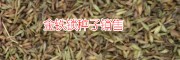 中藥材金鐵鎖圖片_藥材金鐵鎖_中藥材金鐵鎖銷(xiāo)路