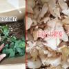 白芨什么時候種植好#白芨干片銷售13466191986