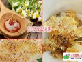 好的蜂蜜是這樣的_昆明天然蜂蜜供應(yīng)商15812056564