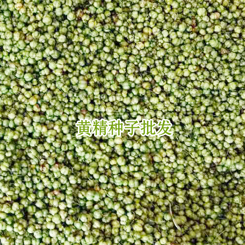 會澤縣思農(nóng)種植有限公司產(chǎn)品圖片