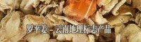 羅平縣姜業(yè)購銷專業(yè)合作社產(chǎn)品圖片信息