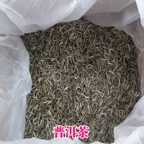 云南哪里有古樹(shù)茶_紅河州古茶樹(shù)資源分布