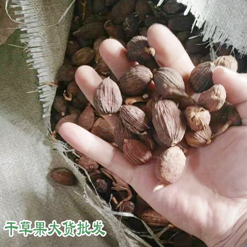 越南、紅河和文山草果產(chǎn)區(qū)量有多少?