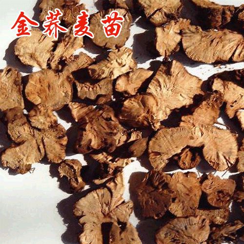 金蕎麥種植多久可以收?哪里有種苗銷(xiāo)售