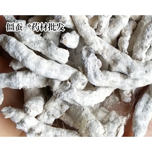 僵蠶價(jià)格行情_僵蠶多少錢