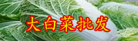 云南大白菜價(jià)格現(xiàn)低谷是什么情況？多少錢一斤？