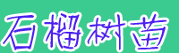 2020年軟子(無子)大概多少錢一棵？一般什么時(shí)候移栽好？