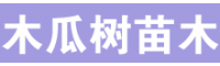 求(采)購(gòu)木瓜樹苗木|公分，5公分，6公分，7公分價(jià)格表