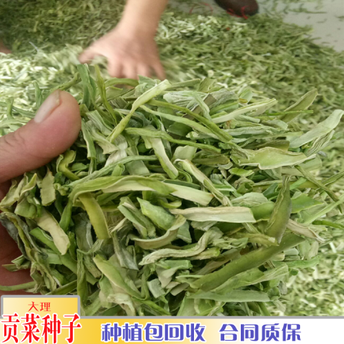 貢茶銷(xiāo)售基地_貢菜成品包回收