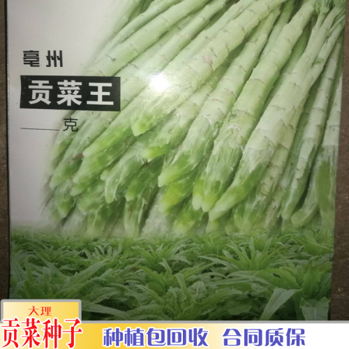 貢菜包回收_貢菜價格行情走勢