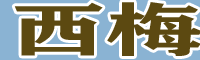 西梅、加州西梅、歐洲李苗圃圖片性（附行情價(jià)格）