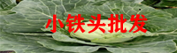 小鐵頭價(jià)格查詢網(wǎng)_小鐵頭種植管理技術(shù)