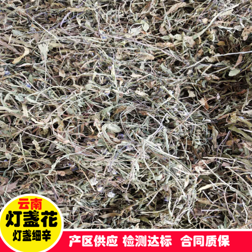 云南燈盞花種植賺錢嗎?哪里找包收公司