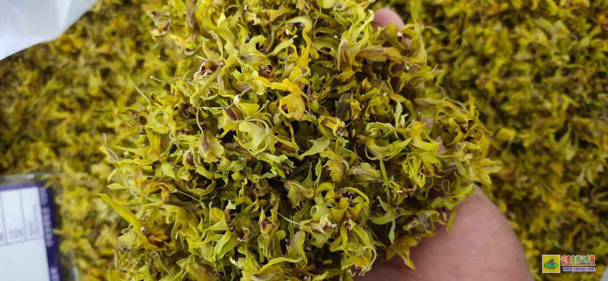 石斛花茶多少錢一斤 霍山石斛花價(jià)格 鐵皮石斛花多少錢一兩