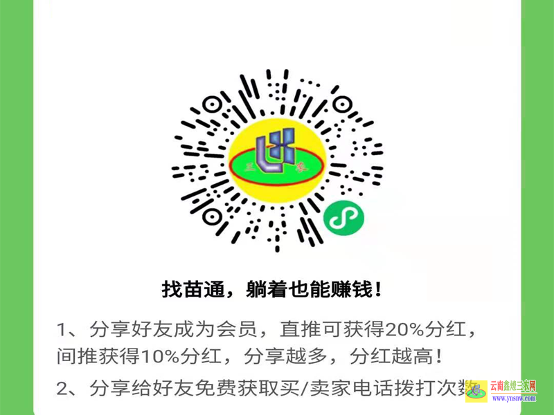 洱源找果樹苗平臺商家注冊 蔬菜苗子怎么種 微信搜一搜找苗通