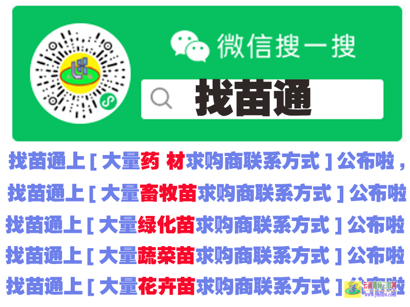 景東找果樹苗免費發(fā)布平臺商家 蔬菜苗期需要什么肥料 微信搜一搜找苗通