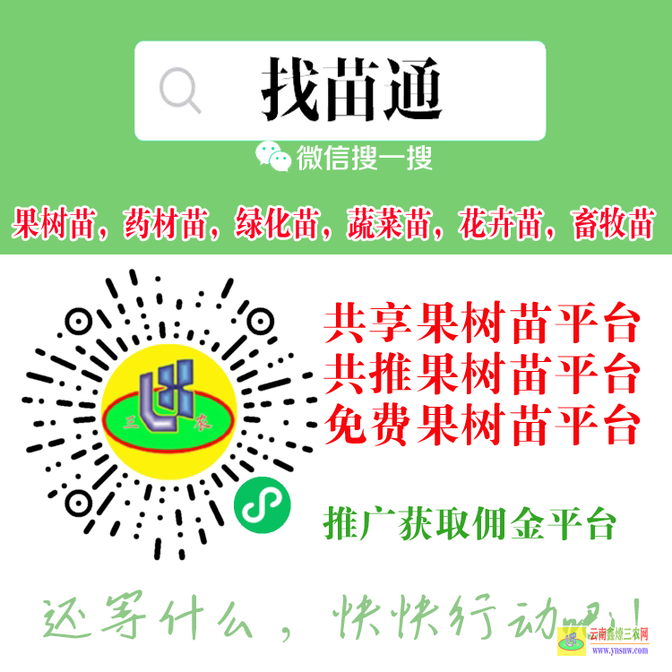 柳州壽光蔬菜苗什么平臺(tái) 微信搜一搜[找苗通] 綠化苗木網(wǎng)