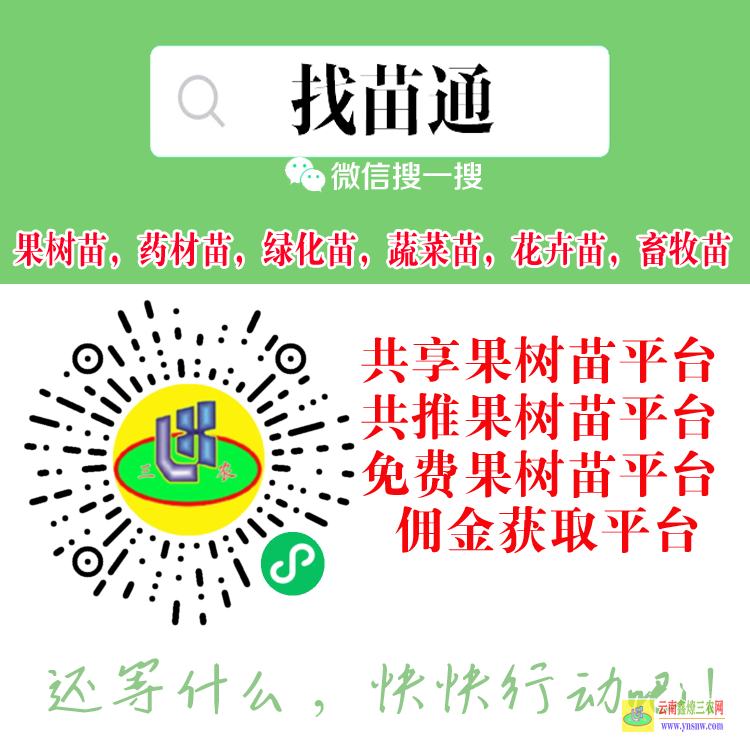 柳州壽光蔬菜苗什么平臺(tái) 微信搜一搜[找苗通] 綠化苗木網(wǎng)