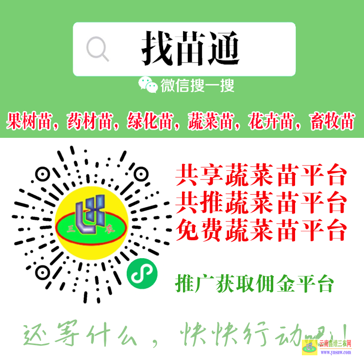 柳州壽光蔬菜苗什么平臺(tái) 微信搜一搜[找苗通] 綠化苗木網(wǎng)