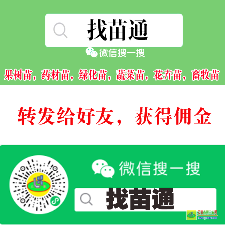 鳳慶哪個(gè)平臺(tái)可以買蔬菜苗 微信搜一搜[找苗通] 園林苗木網(wǎng)