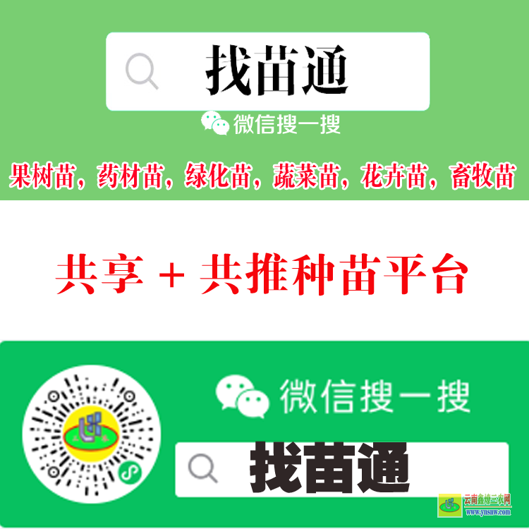 會(huì)澤藥材苗信息平臺(tái) 微信搜一搜[找苗通] 苗木求購(gòu)小程序