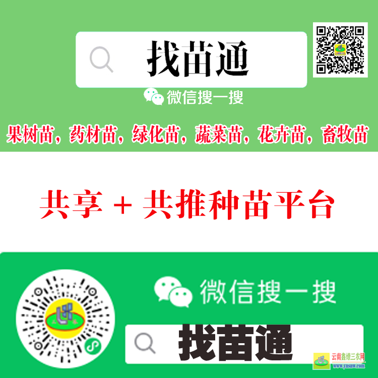 個(gè)舊蔬菜苗網(wǎng)上買賣平臺(tái) 微信搜一搜[找苗通] 果樹苗平臺(tái)