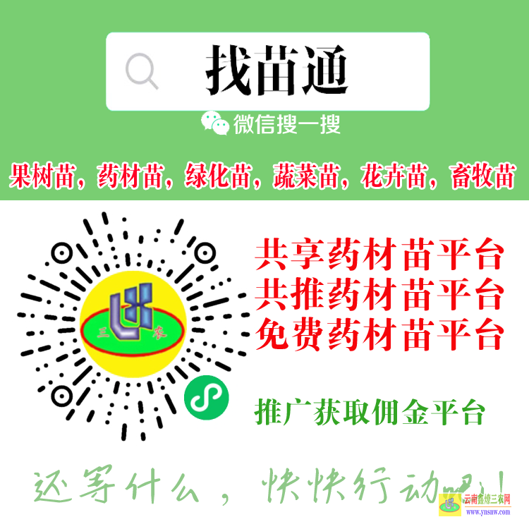 會(huì)澤苗木價(jià)格一覽表 較好的苗木交易網(wǎng)站 工程急需苗木求購(gòu)信息