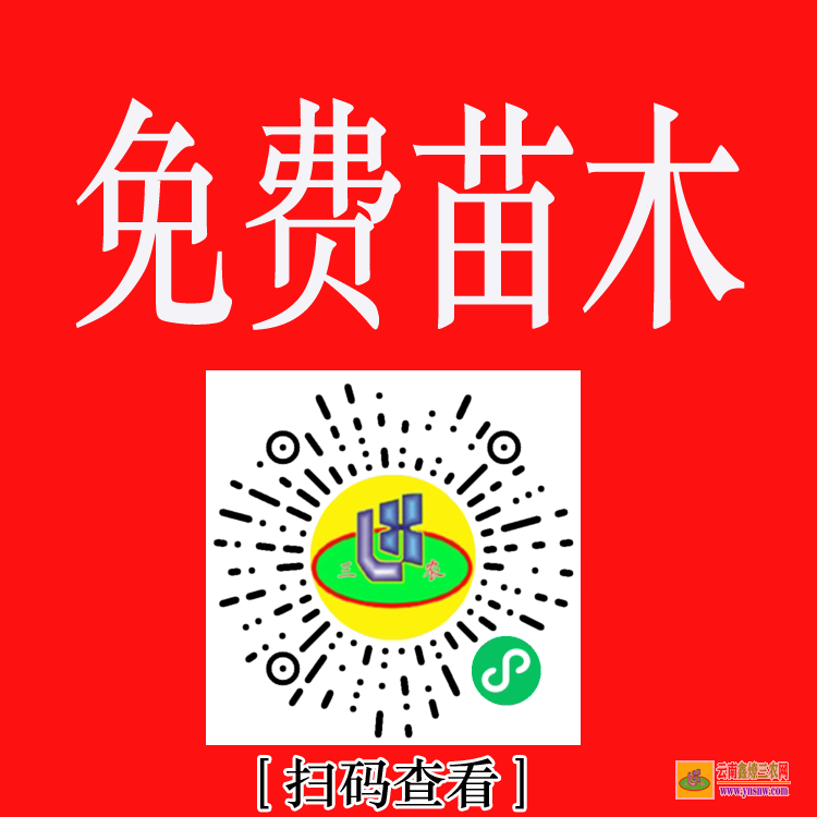 丘北國(guó)內(nèi)大的苗木求購(gòu)信息網(wǎng)站 上門(mén)收購(gòu)綠化樹(shù)木 綠化苗木價(jià)格表2020