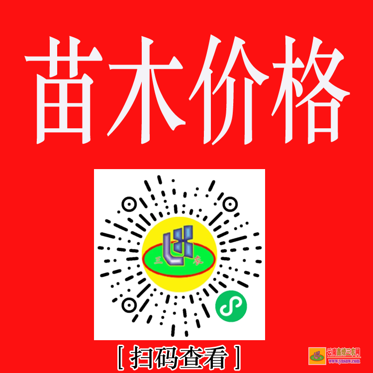 丘北國(guó)內(nèi)大的苗木求購(gòu)信息網(wǎng)站 上門(mén)收購(gòu)綠化樹(shù)木 綠化苗木價(jià)格表2020