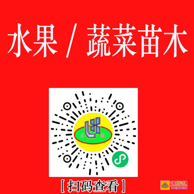 會(huì)澤2021苗木價(jià)格一覽表 賣樹苗的平臺(tái)有哪些 苗木求購信息平臺(tái)app