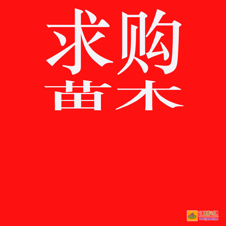 易門苗木求購(gòu)app哪個(gè)好 上門收購(gòu)綠化樹木 全國(guó)大的苗木交易app