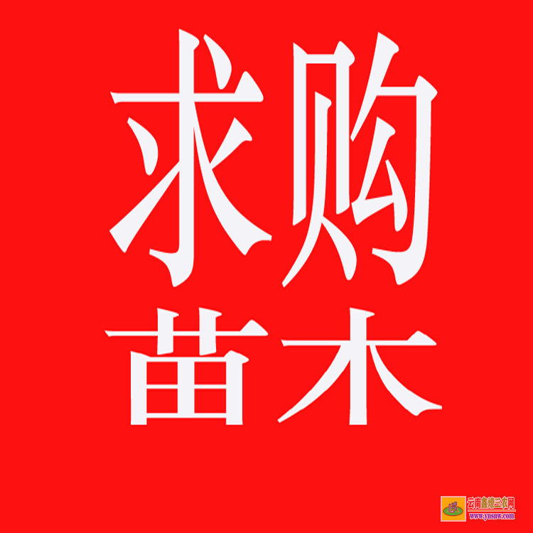 南縣藥材苗木有哪些 藥材苗木批發(fā)網(wǎng)站 藥材苗木網(wǎng)