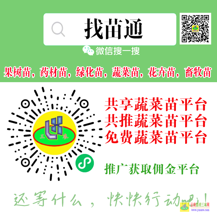 云南綠春蔬菜苗期需要什么肥料 蔬菜苗批發(fā)市場(chǎng)價(jià)格 蔬菜苗子怎么種