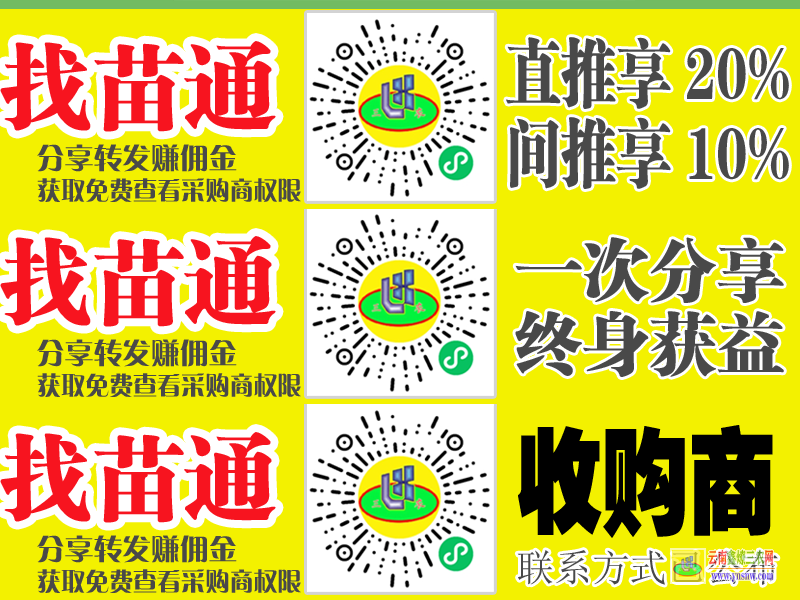 保山云南大型水果批發(fā)市場| 云南省基地樹苗批發(fā) 云南栽什么樹苗