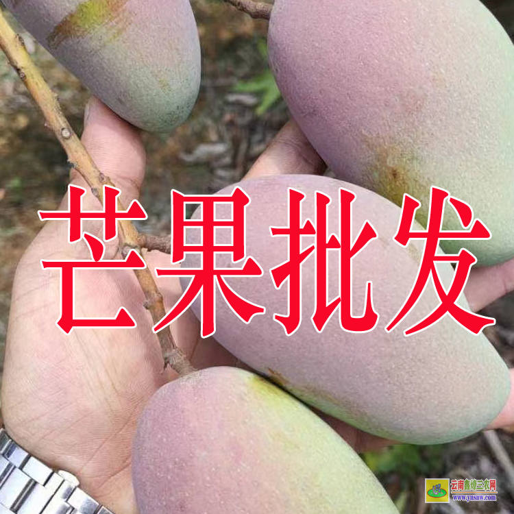 安徽芒果批發(fā)價格多少錢一斤| 海南芒果批發(fā) 西瓜批發(fā)