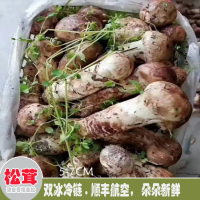 求購姬松茸菌種，數(shù)量6畝量